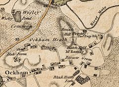 Ockham, Wisley kaj Hatchford en 1786.jpg