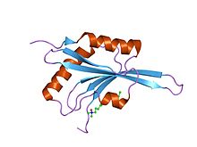 PDB 1f7s EBI.jpg