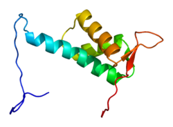 Protein CUL4A PDB 2do7.png