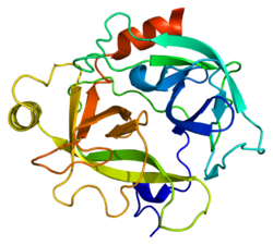 Protein KLK6 PDB 1gvl.png