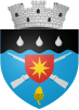 Coat of arms of Darabani