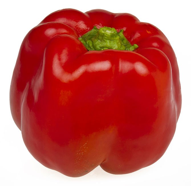 English: A red pepper from an organic farm co-op.