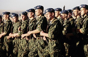 http://upload.wikimedia.org/wikipedia/commons/thumb/8/87/Russian_paratroopers_in_Kazakhstan.jpg/350px-Russian_paratroopers_in_Kazakhstan.jpg