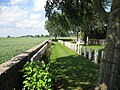 Cimetière militaire.