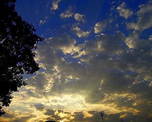 Mây tích dạng tầng trong suốt (Stratocumulus stratiformis perlucidus) trước khi mặt trời lặn. Bangalore, Ấn Độ.