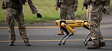 Spot being tested alongside British Royal Air Force service members Spot robot Royal Air Force.jpg