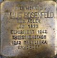 Rosenfeld, Amalie