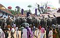 Caparisoned elephants during Sree Poornathrayesa temple festival, Thrippunithura.