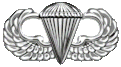 Значок парашютиста-парашютиста армии США.