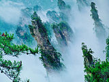De zandstenen zuilen van Wulingyuan
