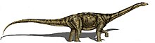 Adamantisaurus mezzalirai 2copia.jpg