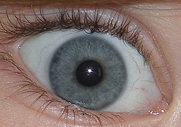 Сине-зеленые глаза крупным планом.JPG
