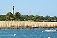 Le phare du Cap-Ferret vu depuis les flots du bassin d’Arcachon, avec les pignots des parcs à huitres.
