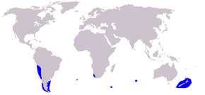 Description de l'image Cetacea_range_map_Dusky_Dolphin.PNG.
