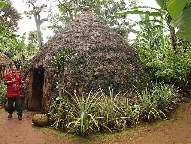 Chaga Hut