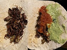 Chapulines con Guacamole y salsa de Chiltepín. Herencia culinaria de México