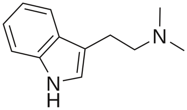Chemical composition of DMT