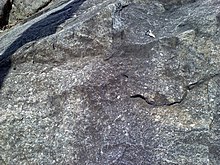 Ellicott City Granodiorite.jpg