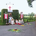 Sterne aus den Blättern der Schwertlilie. Traditionell werden Pfingstrosen mit den Blütenständen des Geißbartes für den Blumenschmuck der Segensaltäre verwendet, aber auch Jasmin und Glockenblumen.