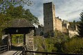 Ruine Kaja im Nationalpark Thayatal (NÖ)