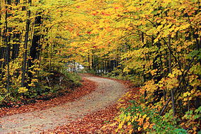 Hapgood Pond - Flickr - USDAgov.jpg