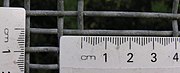 Background fence scale