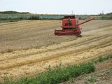 A Bizon combine harvesting wheat in Poland