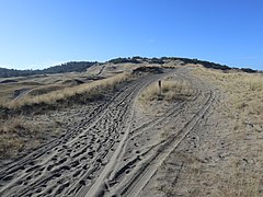 Laoag Sand Dunes pathway with post