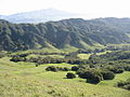 View east from Rocky Ridge toward Las Trampas Ridge. Visitor parking lot is amid the trees at the bottom of the valley. Mount Diablo is in the hazy distance