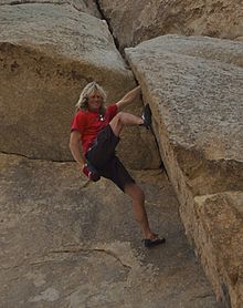 Michael Reardon - free soloing in Joshua Tree (crop).jpg