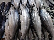 Milkfish (Chanos chanos) locally called 'bangus' in a Philippine market.jpg