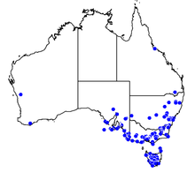 Австралийска карта, показваща обхвата на мравките в страната