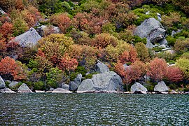 La laguna Negra de Urbión en otoño.