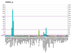 PBB GE POLE2 205909 at fs.png