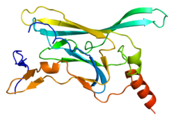 Протеин KCNJ3 PDB 1n9p.png