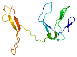 Белок RELB PDB 1zk9.png