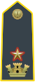 Major, commanding officer