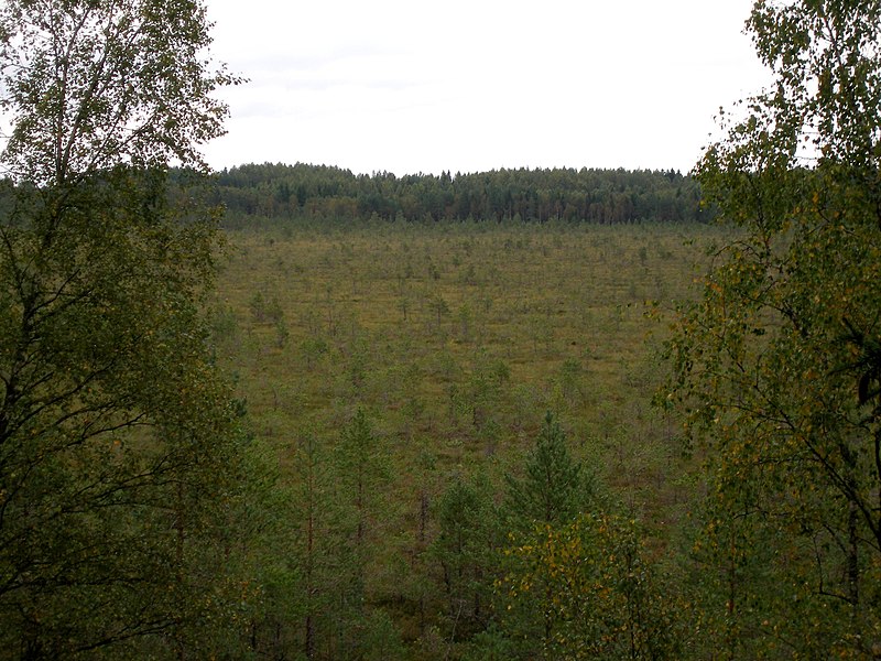 File:Riistakõrve bog.JPG