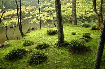 Moss green. Saihō-ji (Kyoto), also known as the "Moss Garden", in Kyoto, Japan, begun in 1339