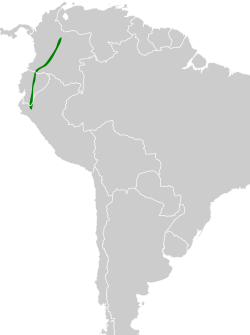 Distribución geográfica del churrín colilargo.