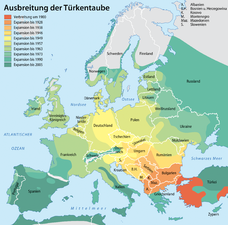 6: Ausbreitung der Türkentaube