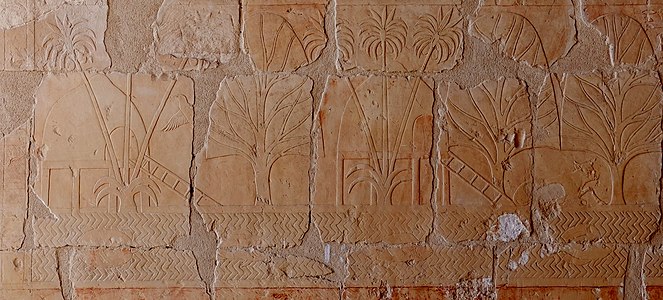 Bas-relief de l'expédition au pays de Pount : habitat, faune et flore du pays. Deir el-Bahari
