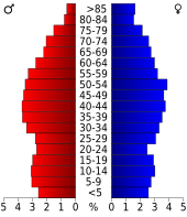 Bevolkingspiramide Scott County