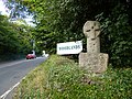 Fig. d14: Woodlands cross, Lelant