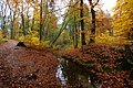 El riu al bosc públic de Wulksfelde a prop de l'aiguabarreig amb l'Alster