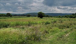 Šipikovo is a village in the municipality of Zaječar, Serbia. According to the 2002 census, the village has a population of 511 people.