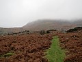 Comeraghs nahe dem Coumshingaun Lough