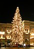 Christmas tree in Milan, Italy, 2008