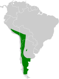 Distribución geográfica del canastero pálido.