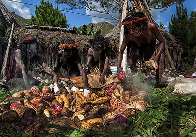 Upacara bakar batu yang dilaksanakan di Papua sebagai momen perayaan dan silaturahmi